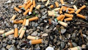 cigarette_litter-1 cigarette_litter-1