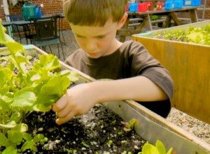 planting planting