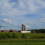 Richmond Region Farm